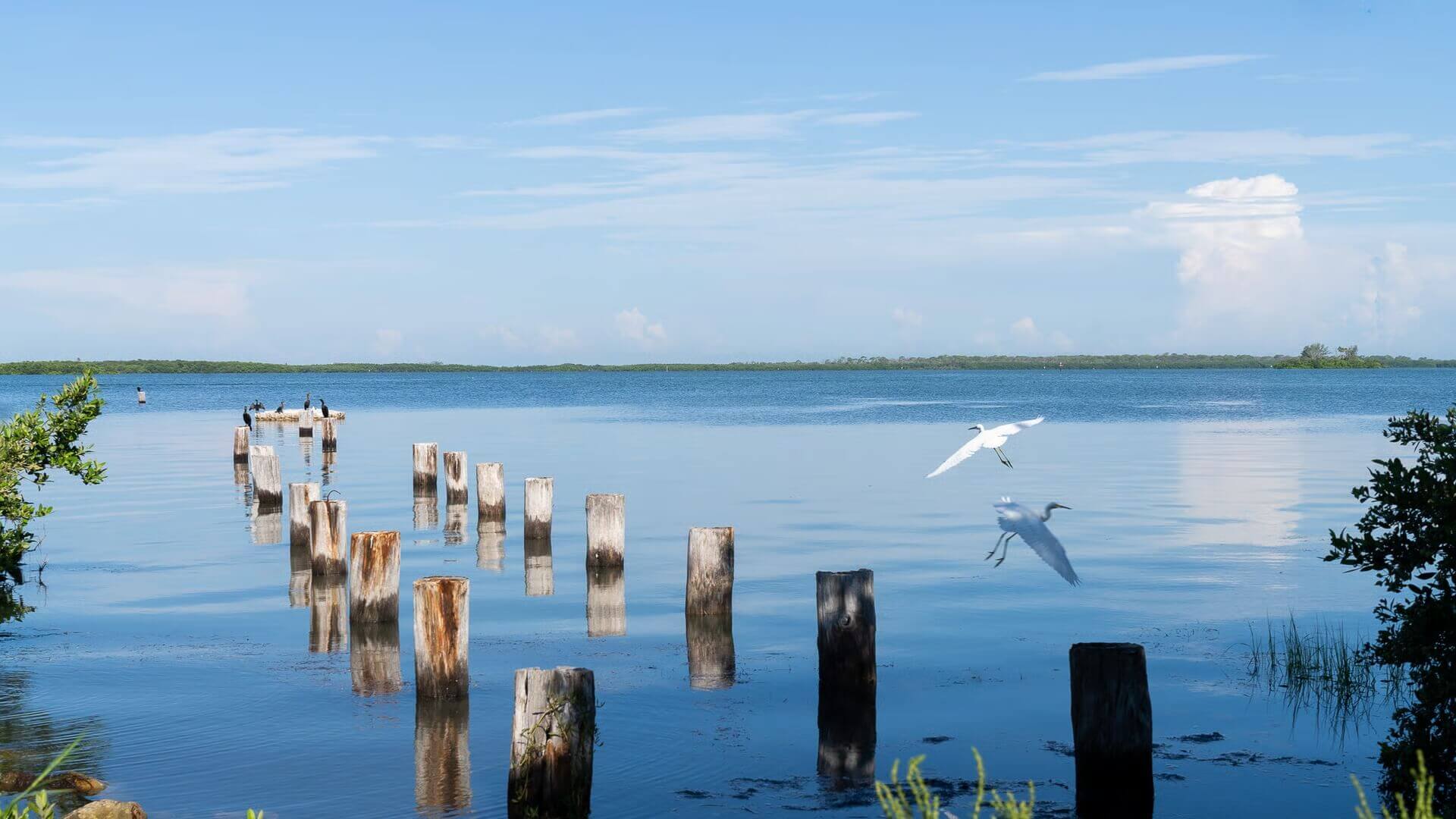 Image Slider 1